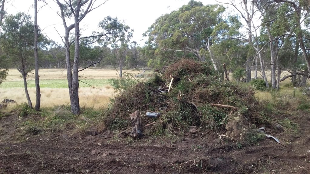 Photo of vegetation being cleared