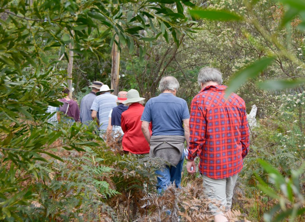 Photo of community members walking in the bushland