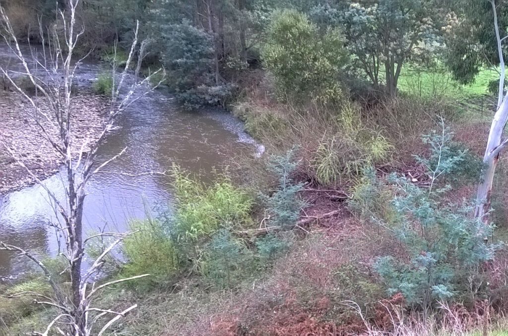 Photo of the North West Bay River at Brookfield