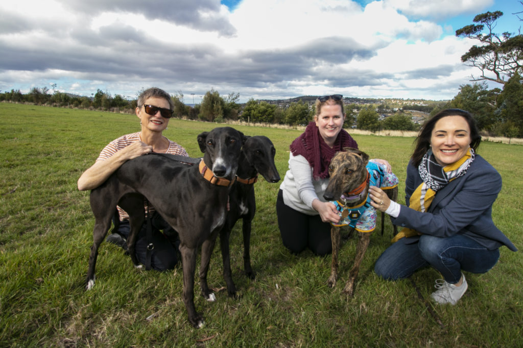 Greyhound Dog Owners with Acting Mayor Jo Westwood in proposed area for greyhounds