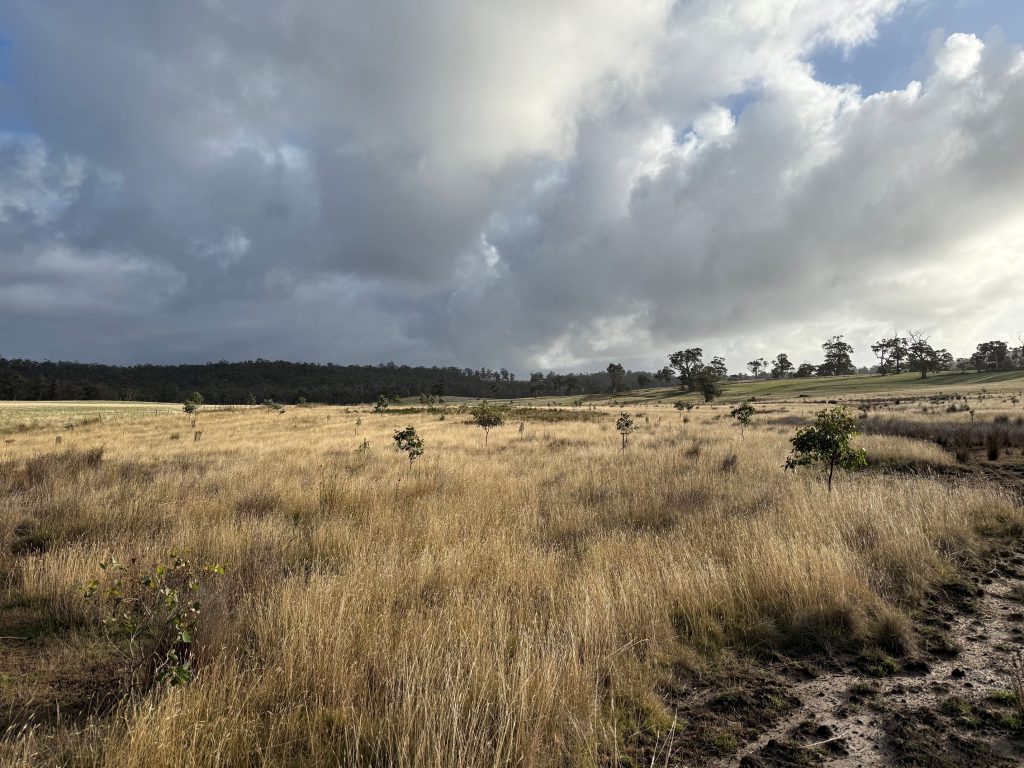 KEF - bruny island planting